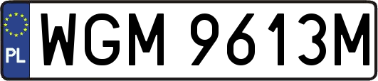 WGM9613M