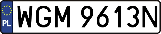 WGM9613N