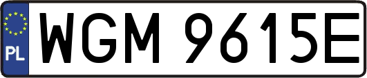 WGM9615E