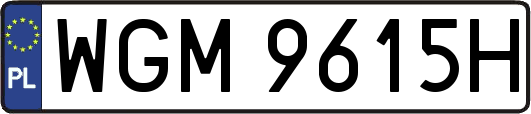 WGM9615H