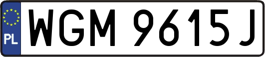 WGM9615J