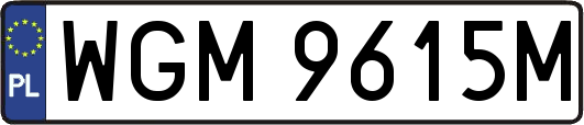 WGM9615M