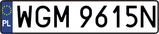 WGM9615N