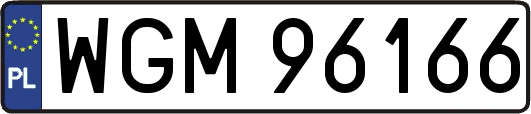 WGM96166