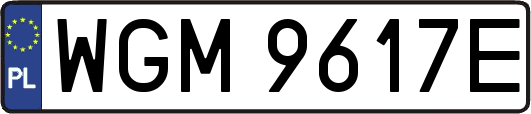 WGM9617E