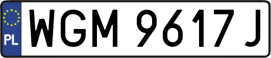 WGM9617J