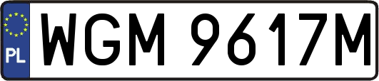 WGM9617M