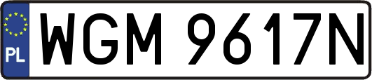 WGM9617N