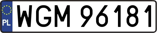 WGM96181