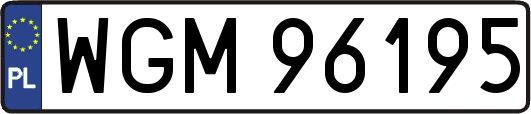 WGM96195