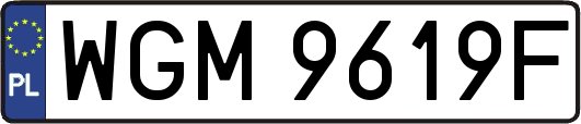 WGM9619F
