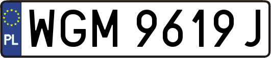 WGM9619J