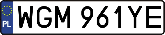 WGM961YE