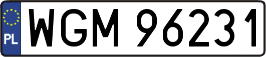 WGM96231