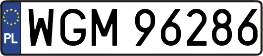 WGM96286