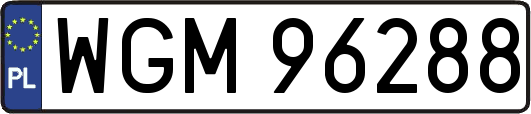 WGM96288