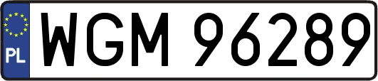 WGM96289