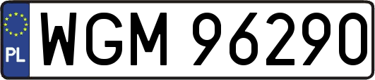 WGM96290