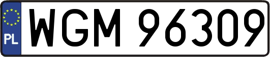 WGM96309
