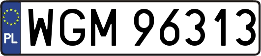 WGM96313