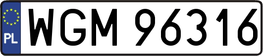 WGM96316