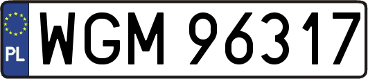 WGM96317