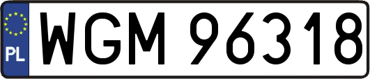 WGM96318
