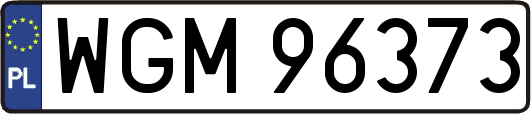 WGM96373