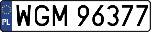 WGM96377