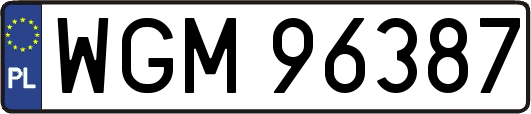 WGM96387