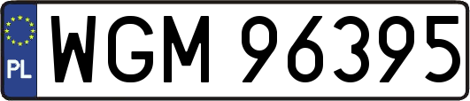 WGM96395