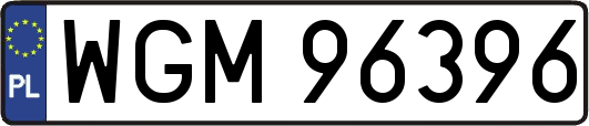 WGM96396