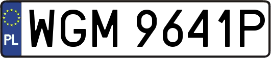 WGM9641P