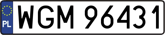 WGM96431
