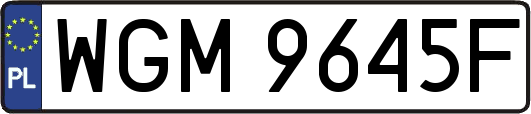 WGM9645F