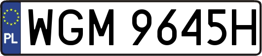 WGM9645H