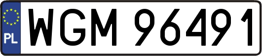 WGM96491