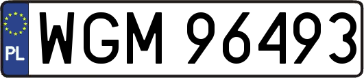 WGM96493