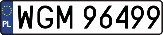 WGM96499