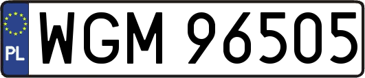 WGM96505