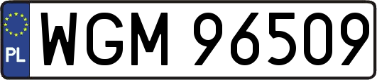 WGM96509