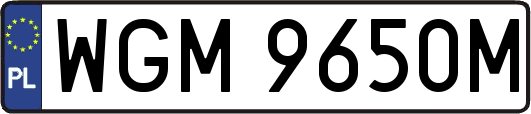 WGM9650M