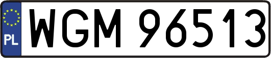 WGM96513