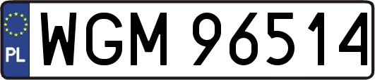 WGM96514