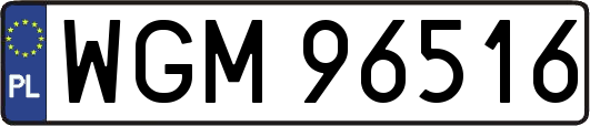WGM96516
