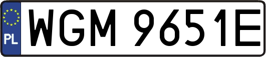 WGM9651E