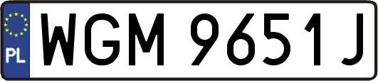 WGM9651J