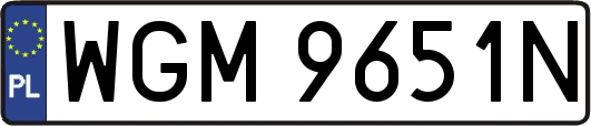 WGM9651N