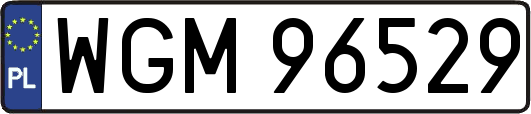 WGM96529