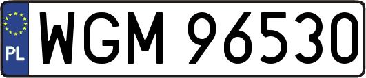 WGM96530